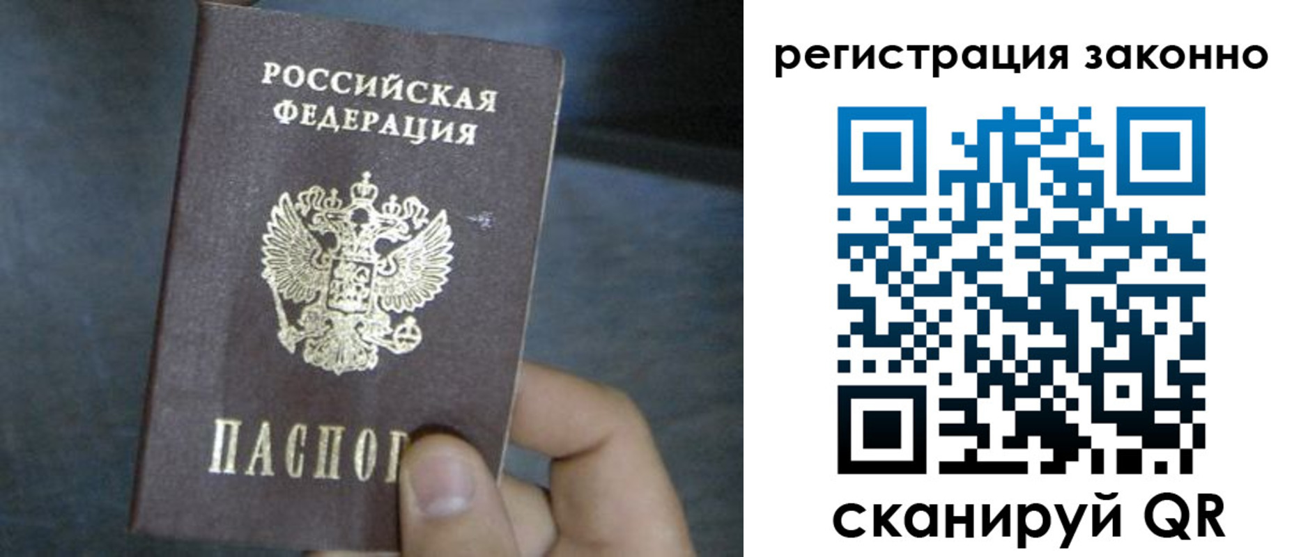 где прописаться в Пионерском